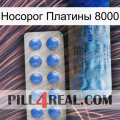 Носорог Платины 8000 40